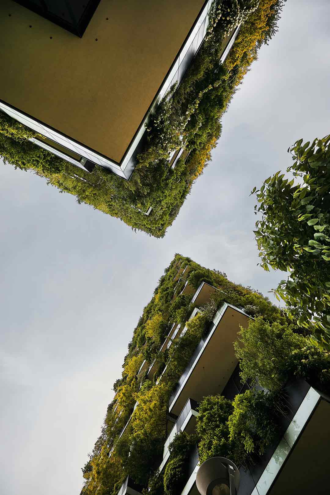 Exterior-image-of-Bosco-Verticale-in-Milani-Italy-a-building-covered-in-lush-vertical-garden