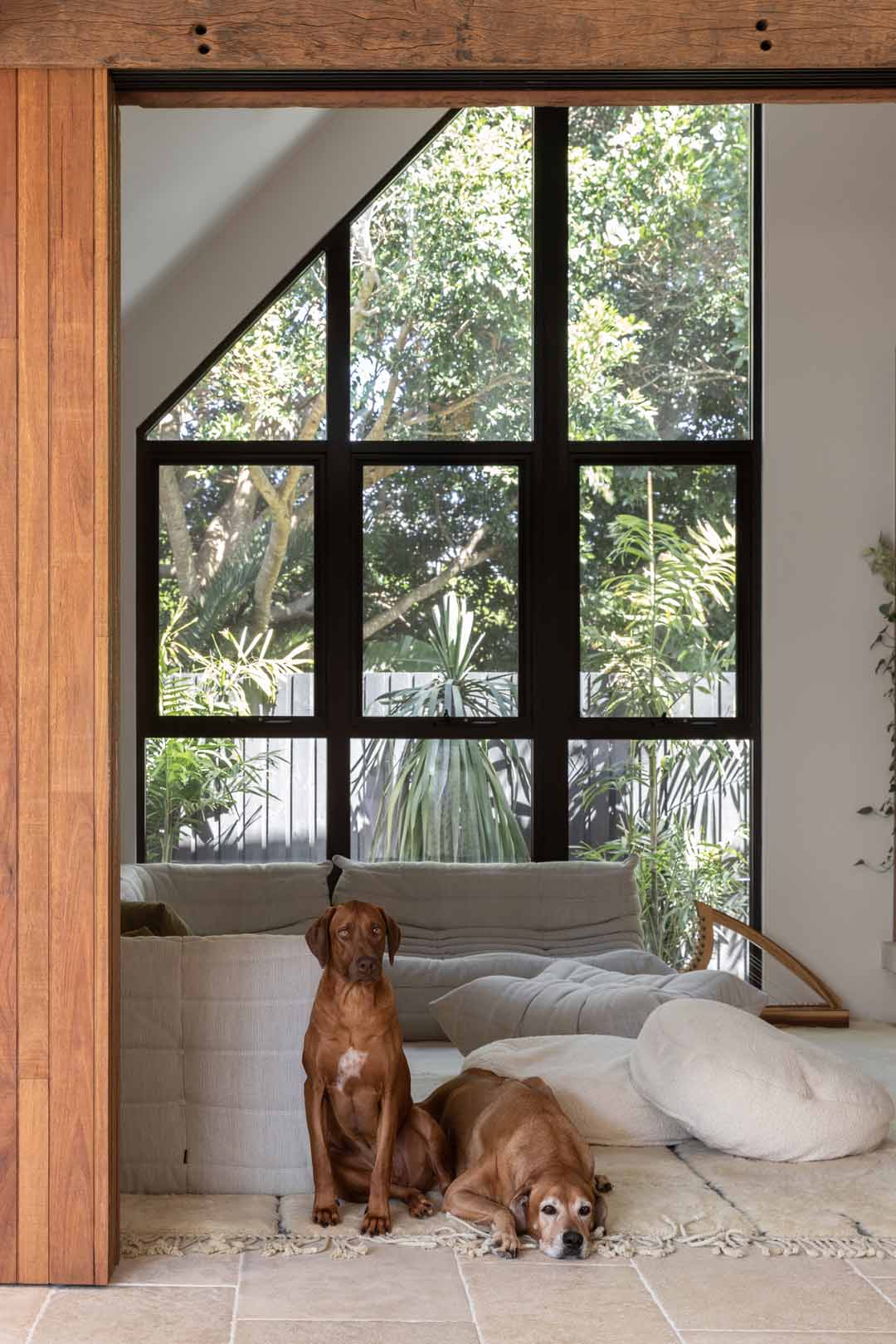 Shelley-Crafts-dogs-in-her-coastal-meets-industrial-living-room-in-Pacifico-House