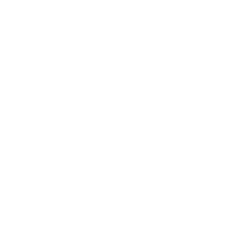 WHY-ICON