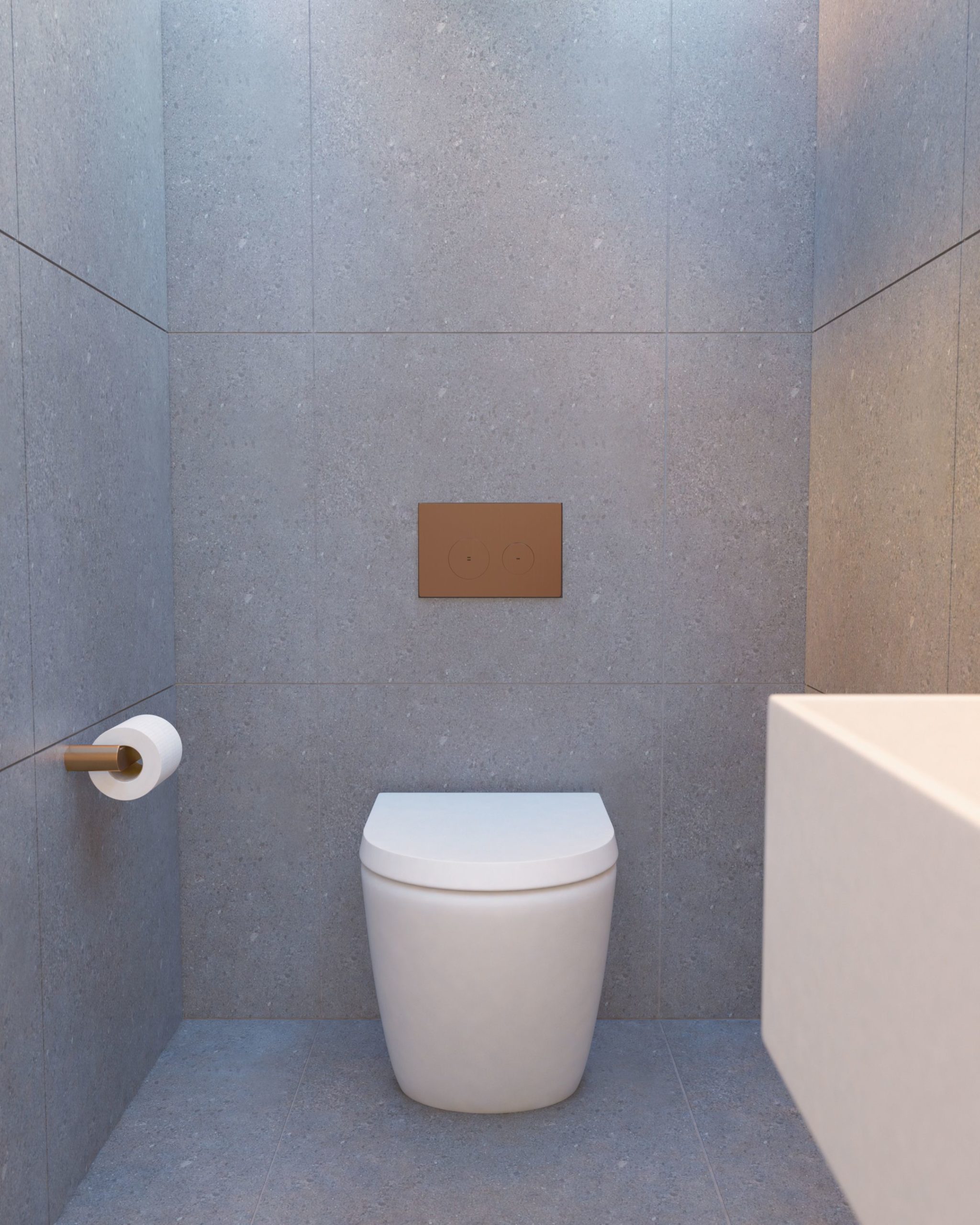Toilet Fittings & Fixtures